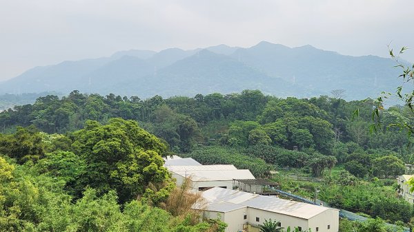 大溪走到三峽，月眉濕地生態公園，山豬湖生態親水園區，李騰芳古宅，娘子坑山，壽山，二鬮山