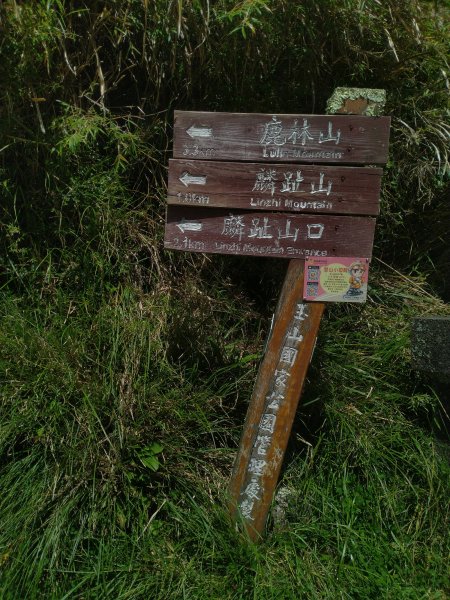 2022-07-21 塔塔加一日遊(麟趾山、鹿林山)1771438