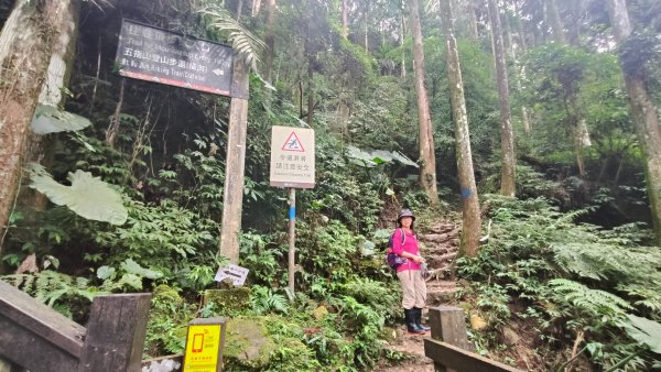 五指山走春3009586