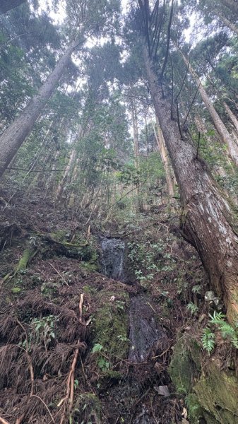 悠遊林鐵遺跡2878130