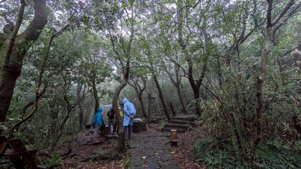 114.11.01旅聯網21週年活動之七星山-七星山東峰-七星公園-夢幻湖2928908