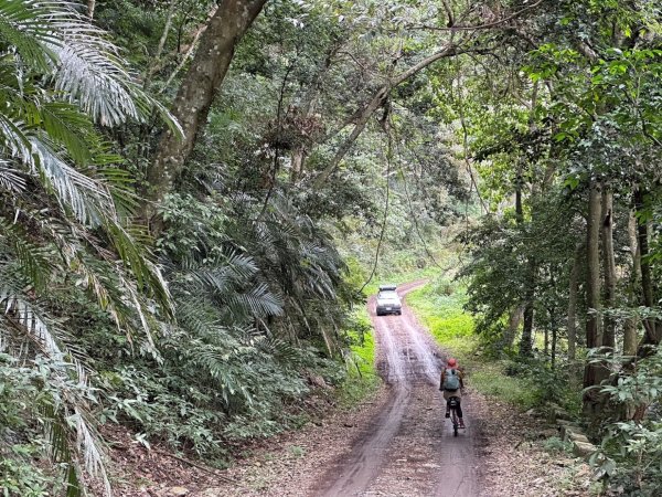 北港溪大峽谷 惠蓀林場2693045