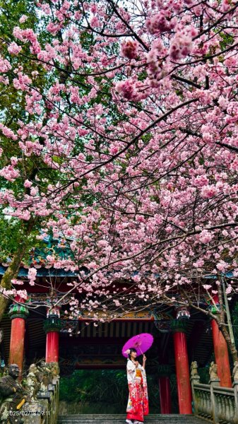 內湖碧山巖 2/182714799