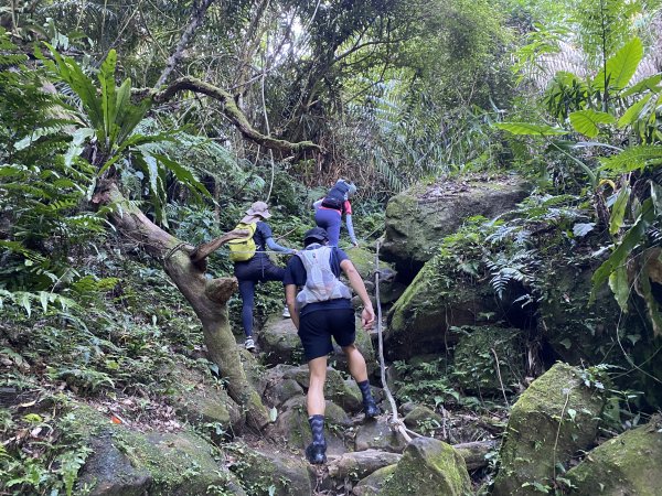 2025微笑山線大縱走尋寶集章任務-Ep.08【二格山系】筆架連峰段｜二格山 × 筆架山北峰2921629