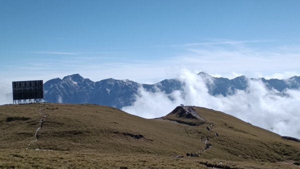 歡樂腳合歡北峰瑞雪2400953