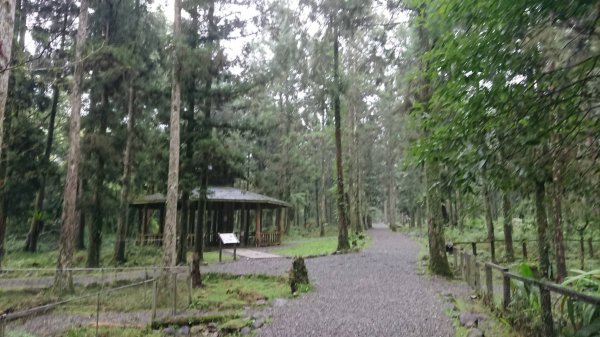 【山系野遊】福山植物園