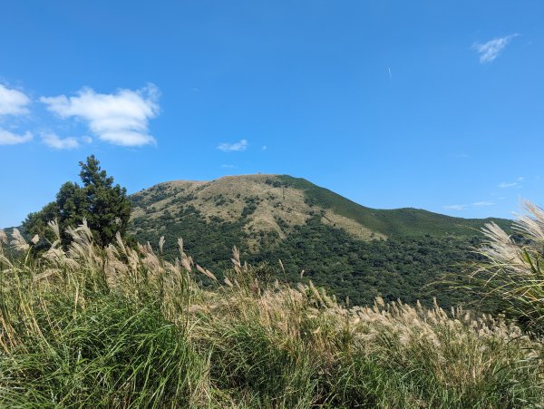 秋天賞芒行@大屯山連峰步道2318212