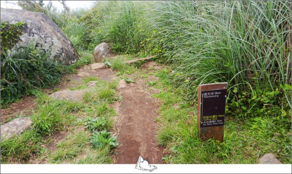 大屯山群峰步道(大屯山主峰、南峰、西峰)882640