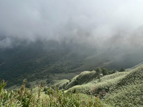 11/29六 小觀音山2952618