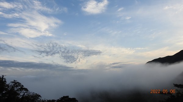 雲山水花鳥蝶 - 天龍國阿伯的日常5/61703598