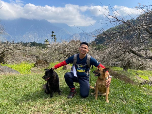 風櫃斗.牛稠坑.二坪山古道【遙知不是雪，為有暗香來】