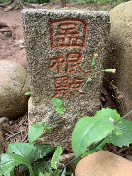 20250426苗栗火炎山2772797