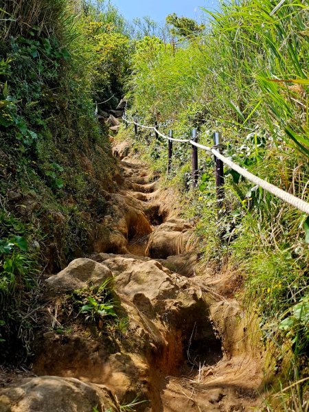 2025年臺北大縱走第二段： 二子坪至小油坑2763787