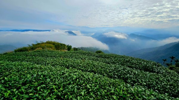 挑筍古道(大尖山、後棟仔山步道)--(雲林)臺灣百大必訪步道