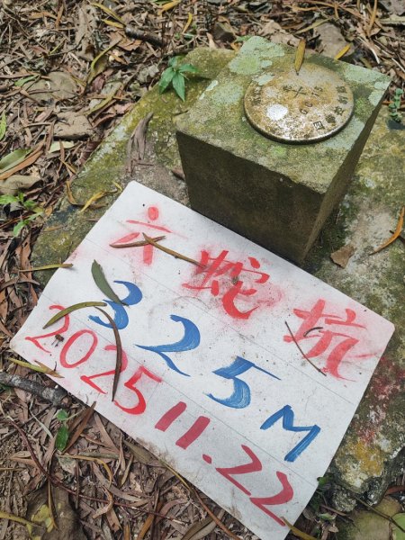 飛沙龍逆走2988879