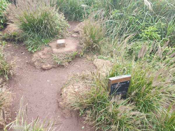 興福寮登山口上大屯山1561321