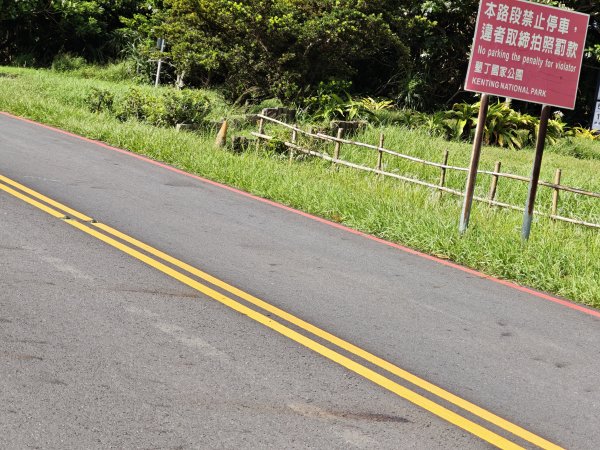 [百山百鳥尋旅-02/15] 2025_0809 社頂自然公園步道2856884