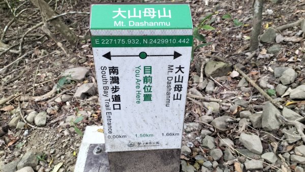 20250203_小百岳大山母山2706860