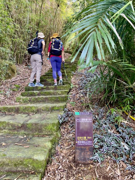 《中正山 × 紗帽山｜穿越北投古道與山林的一日縱走！》2934930