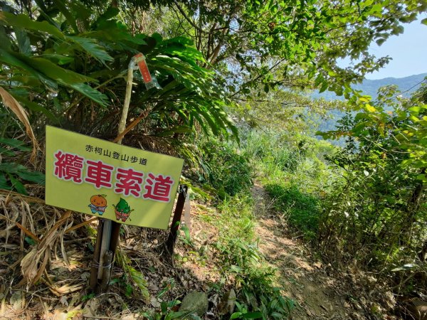 【新竹縣關西鎮】赤柯山步道2833171