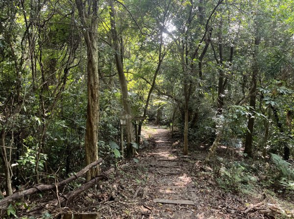 [皮皮獅Hike客任務-09/10] 2024_0831 南埔村觀音步道+挑水壢古道2586324