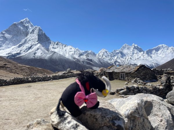 尼泊爾聖母峰EBC基地營❤️風景篇2791019