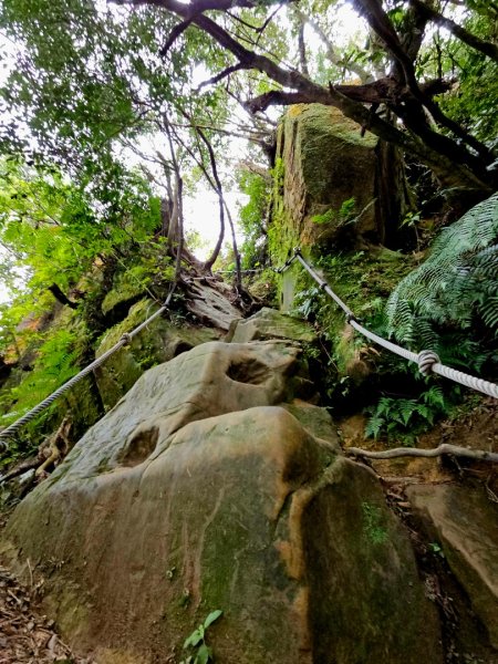 猴山岳-台北市木柵區2663539