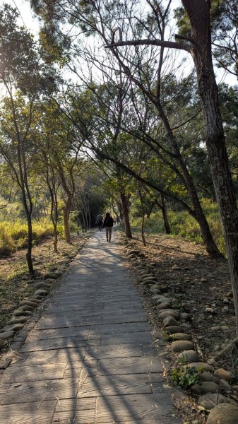 竹坑南寮登山步道2719364