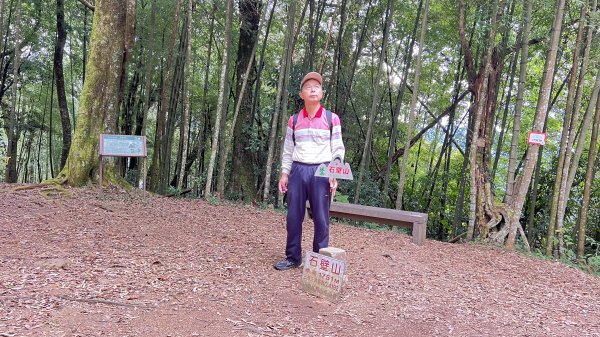 草嶺九芎神木-仙夷農場-嘉南雲步道南側-石壁山-嘉南雲峰_202312032366697