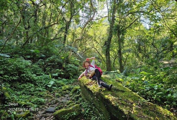 【淡蘭古道中路】崩山坑古道全段＆虎豹潭野餐2572648