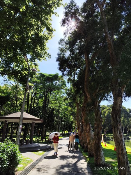 內湖碧湖公園步道、郭子儀紀念堂、獅頭山、大港墘公園、宏匯瑞光廣場2813424