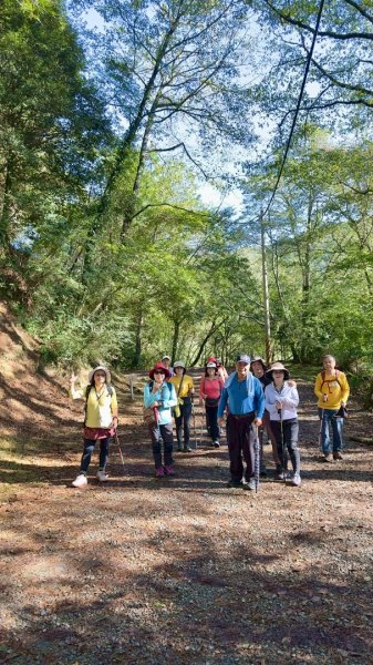 觀霧-榛山步道2926027