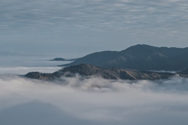 絕美的迷霧森林｜觀霧榛山步道2670045