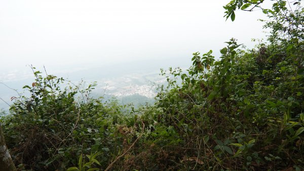 小百岳集起來_笠頂山登山步道2368375