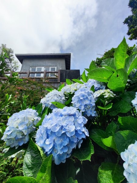 觀音山小鷹尖2818040