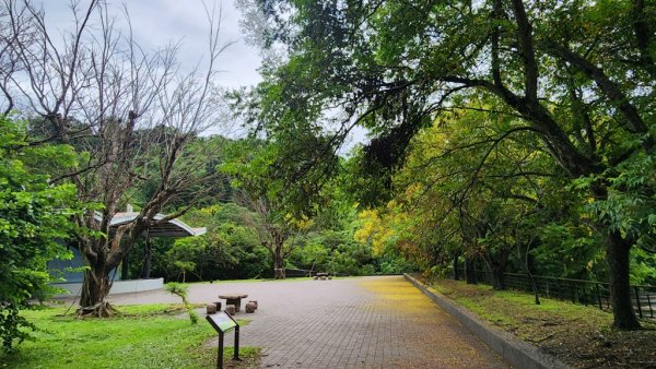 【南投民間】松柏嶺步道連走松柏坑山2601691