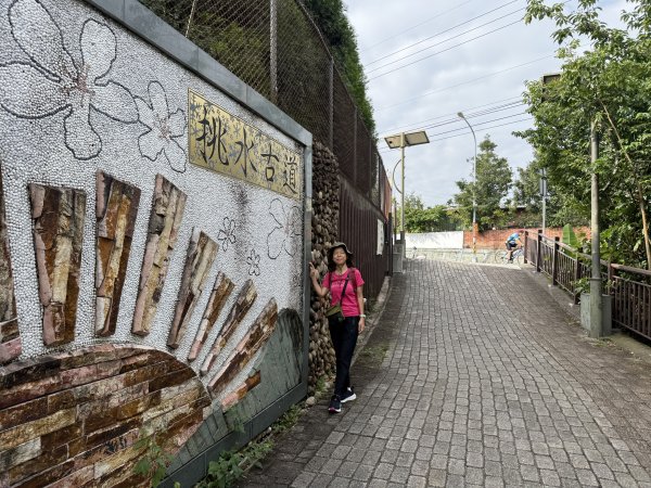 挑水古道附近古道串聯+藤山步道202505032784334