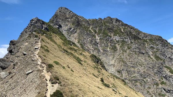 【百岳】奇萊北壁下屏風，驚險刺激的旅程2392018