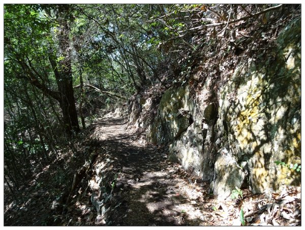東卯山、東卯山西峰、東卯山西南峰 連走2932805