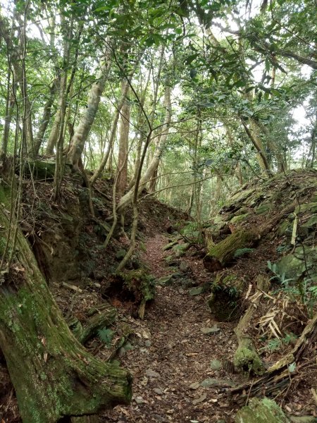 鳴海山1880278