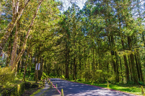 [宜蘭]明池森林遊樂區2725154