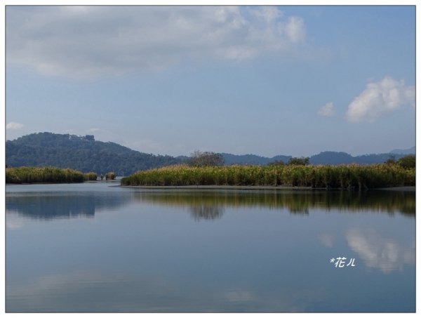 日月潭/大竹湖步道763862