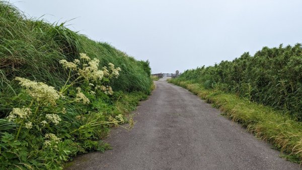 112.06.04走遍陽明山尋寶任務之大屯山2173574