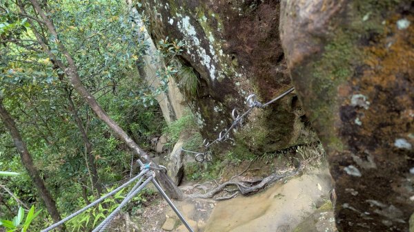 孝子山步道 (慈母峰+普陀山)2773607