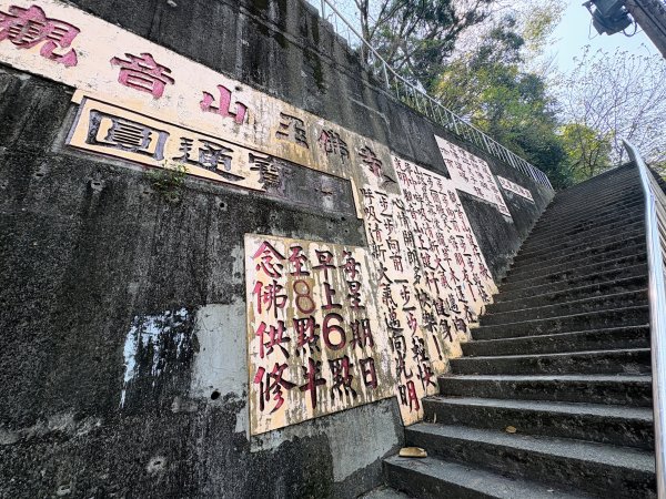 南觀音山步道2731290