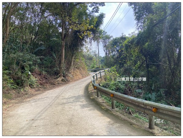 小北埔山、茶香小徑、櫻木花之道連走2759717