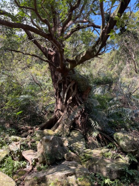 北部三大岩場-筆架連峰-皇帝殿-五寮尖拍空拍寫真💙2663897