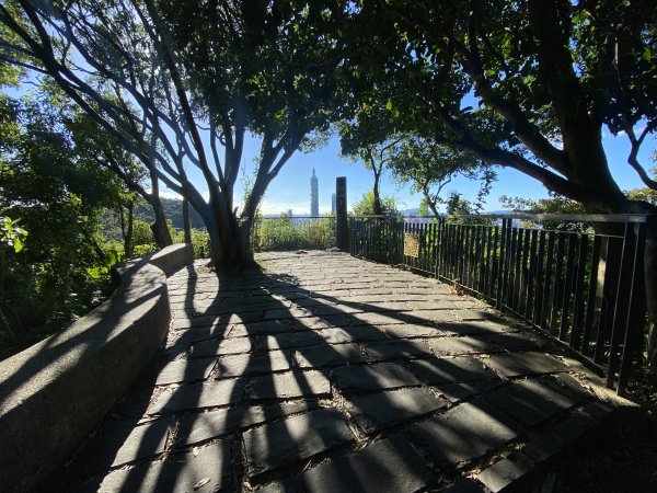 【四獸山 Short】虎豹象先行！獅山封閉中，等新步道開箱再相見2888822