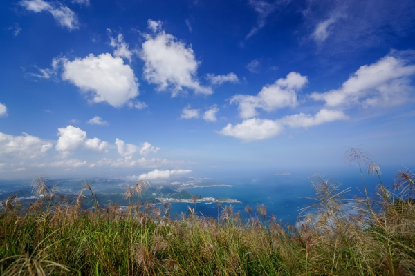 雷霆峰 - 芒花季70292