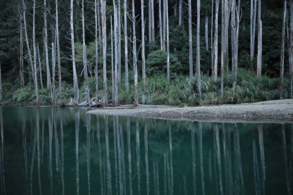 鹿屈山：水漾森林73501
